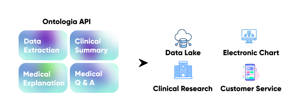의료데이터 라벨링과 AI 모델, 테서와 함께하세요.